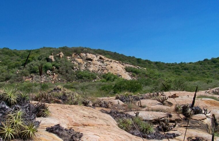 Geoparque Seridó é tema do Caminhos da Reportagem desta segunda