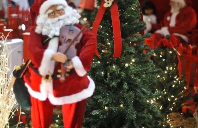 Hoje é Dia: Natal, solstício de verão e Cristina Buarque são destaques