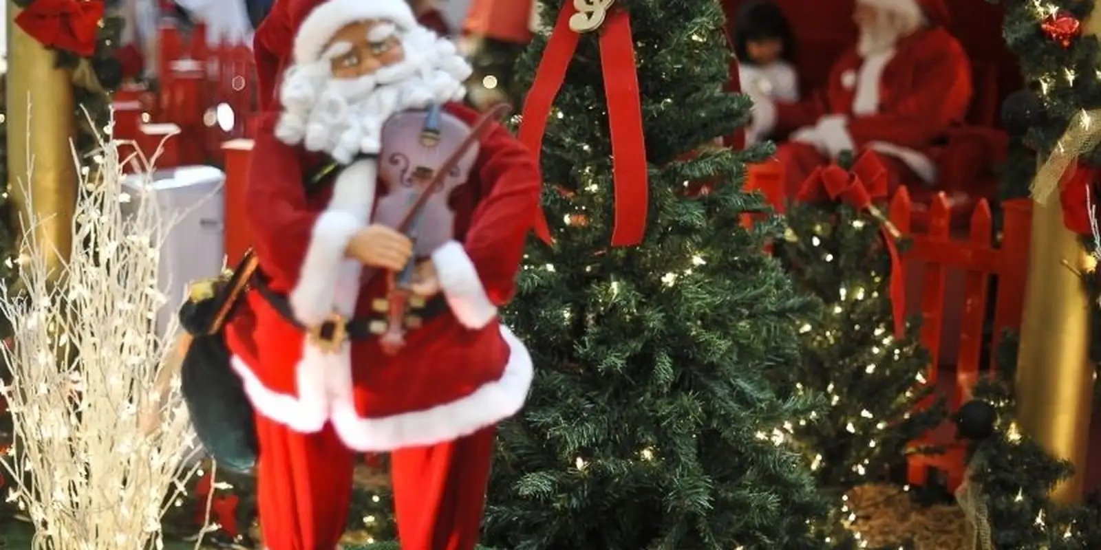 Hoje é Dia: Natal, solstício de verão e Cristina Buarque são destaques