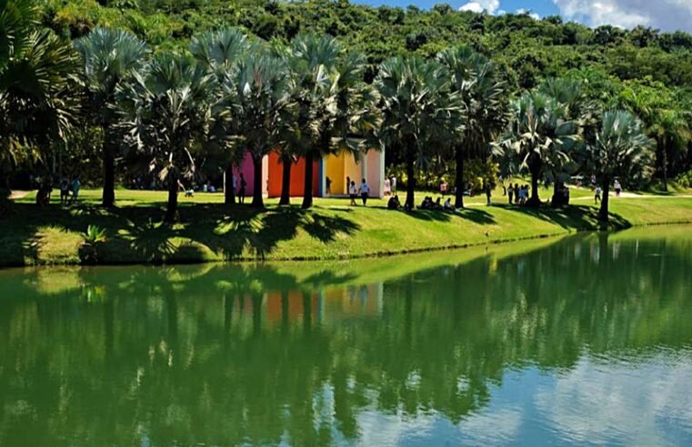 Museu Inhotim, em Minas Gerais, tem recorde de visitação em 2025