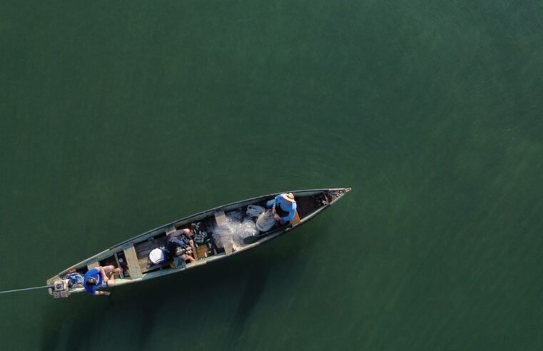 Pescadores profissionais têm até dia 31 para comprovar atividade