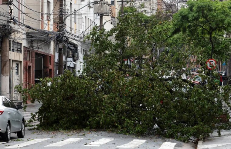 Prefeitura fecha todos os parques de São Paulo por causa dos ventos