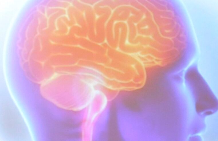 Projeto Ártemis avalia genética de pacientes que sofreram AVC