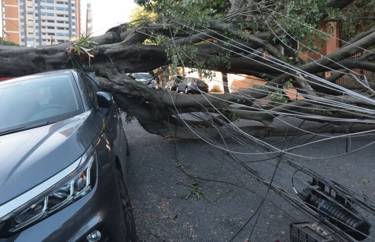 São Paulo e capitais do Sul terão ventos moderados nesta quinta-feira