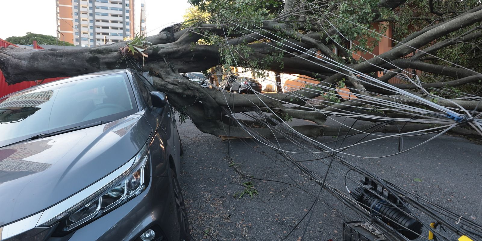 São Paulo e capitais do Sul terão ventos moderados nesta quinta-feira
