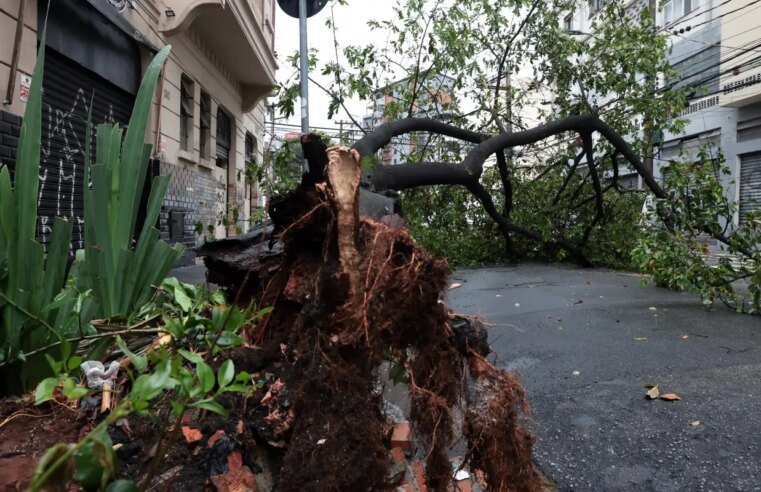 São Paulo enfrenta ventos de quase 100 km/h nesta quarta-feira