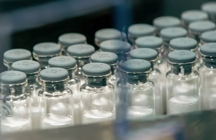 Vacina contra a dengue do Butantan começa a ser aplicada em janeiro