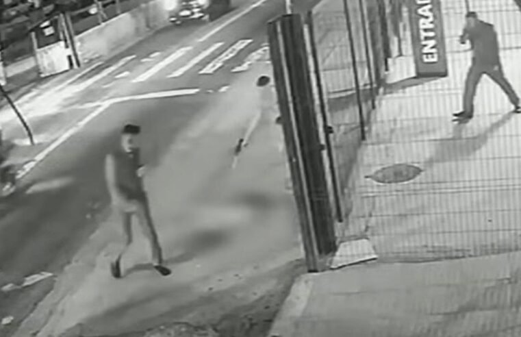 Cachorro é morto com dez tiros em frente a ponto de ônibus em SP