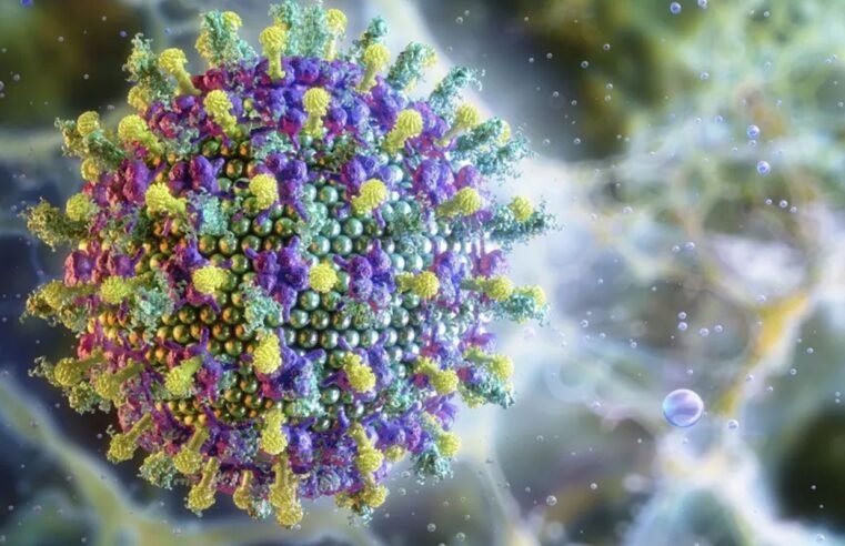 Ministério da Saúde diz que vírus Nipah não ameaça o Brasil