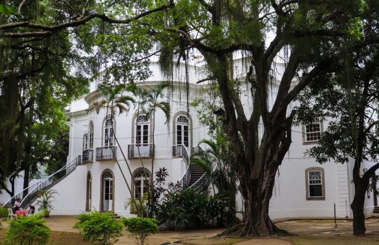 Museus da Funarj aderem a rede antirracista do Instituto Pretos Novos