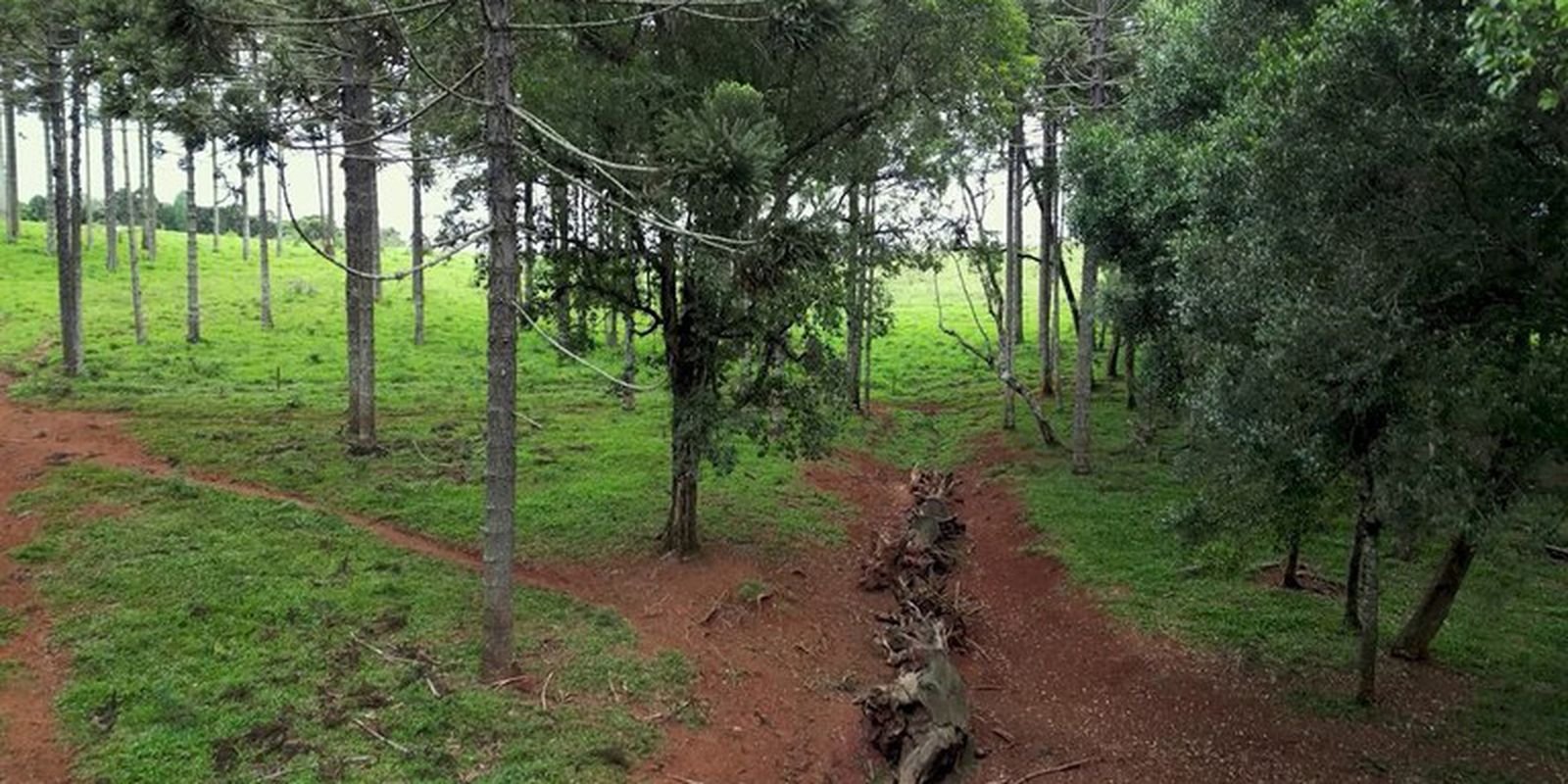 Produção inédita resgata histórico Caminho do Peabiru na TV Brasil