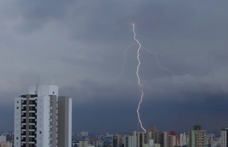 Temporal em São Paulo provoca alagamentos e quedas de árvores