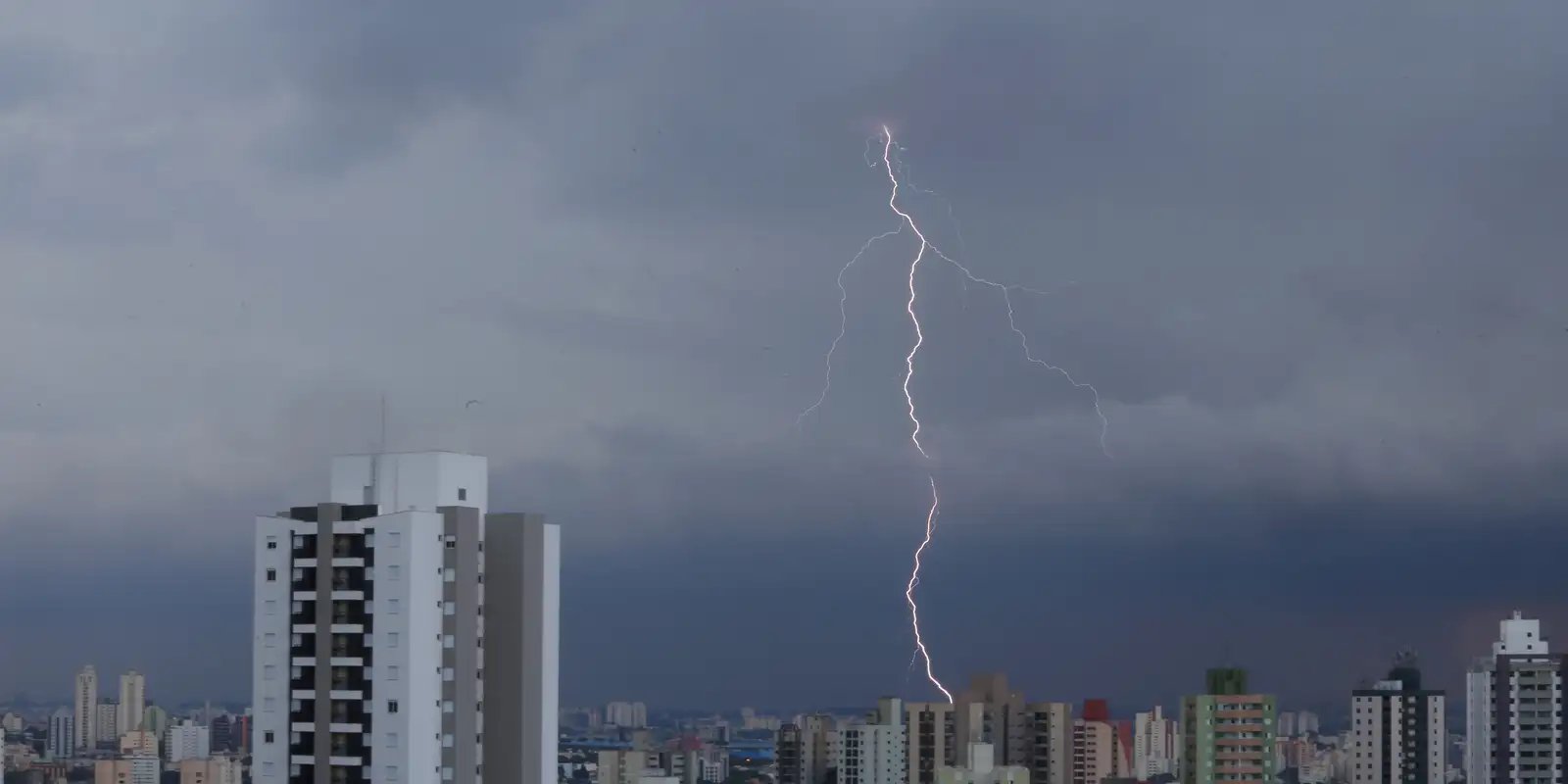 Temporal em São Paulo provoca alagamentos e quedas de árvores