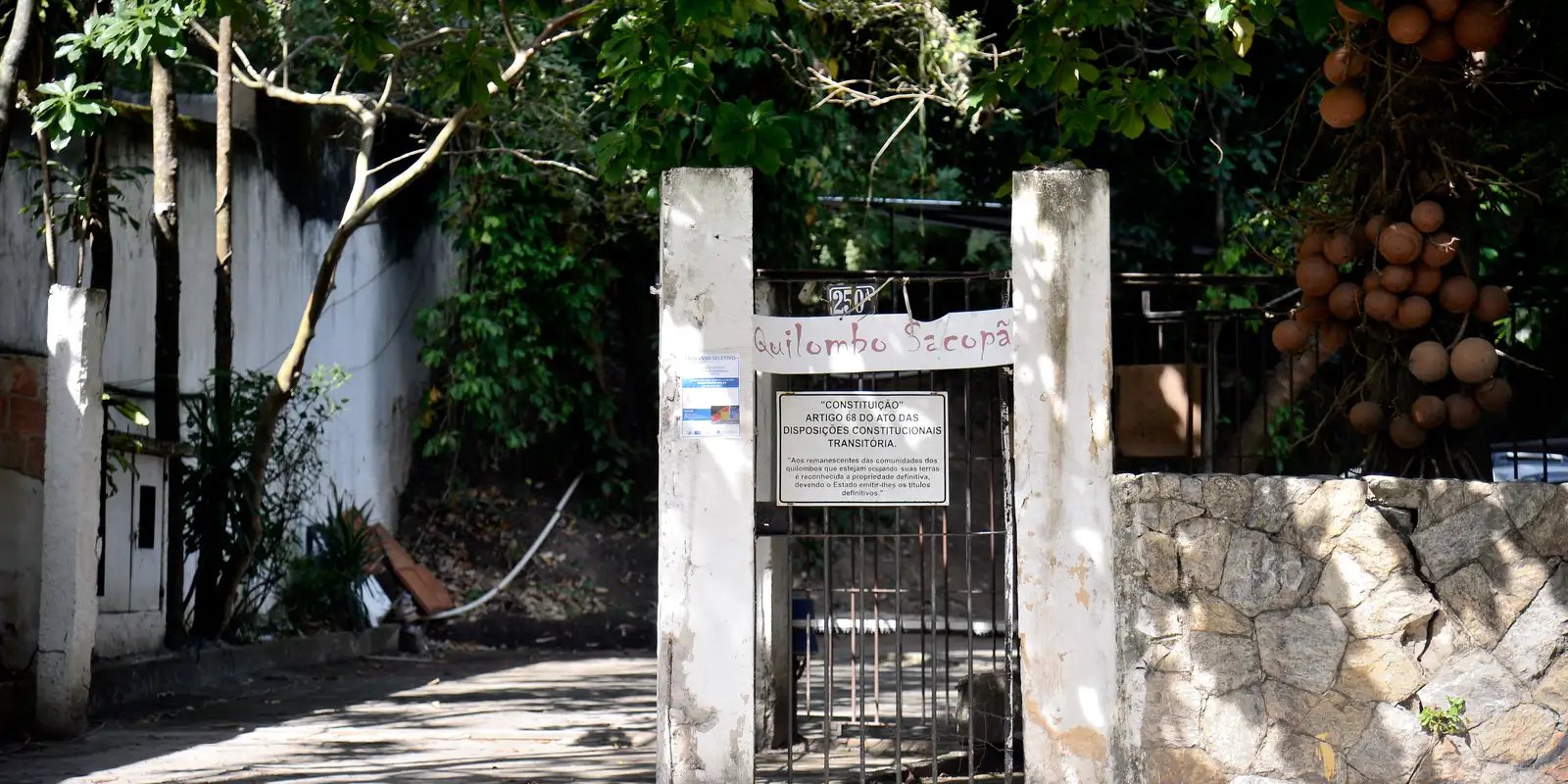 Único bloco criado por quilombolas homenageará Preta Gil no Carnaval