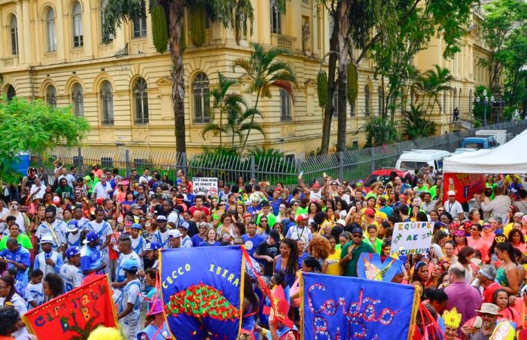 Blocos com Michel Teló e Pocah esquentam o Ibirapuera neste domingo