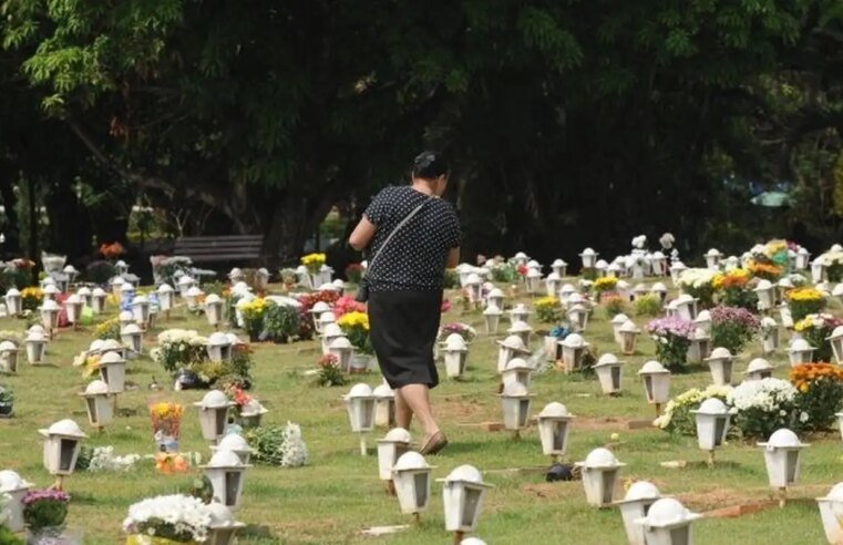 Cães e gatos podem ser sepultados em jazigos familiares em São Paulo