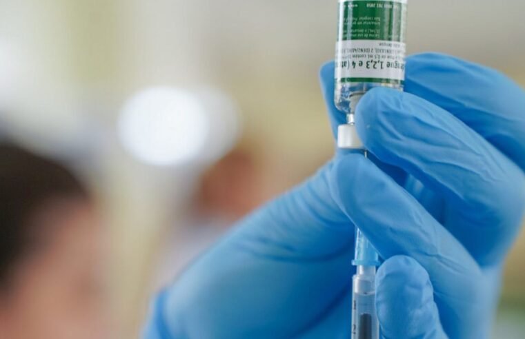 Equipes do SUS começam a receber vacina do Butantan contra a dengue