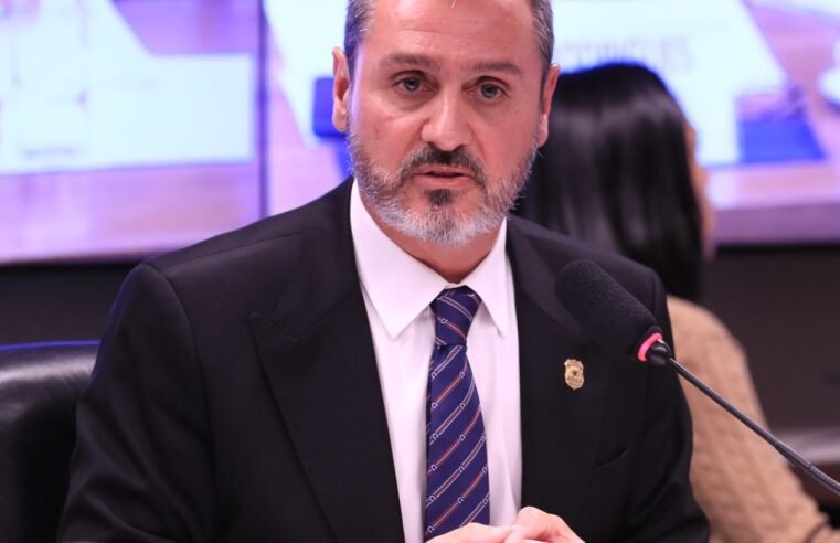 PF tem papel importante no combate ao feminicídio, diz diretor-geral