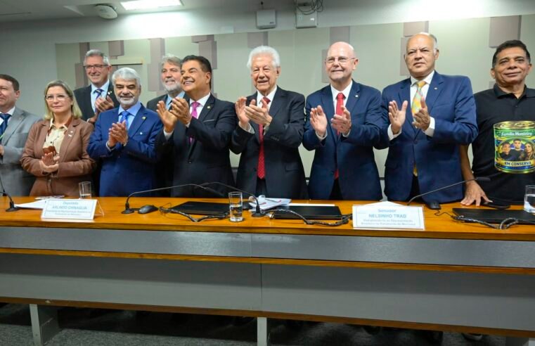 Representação Brasileira do Parlasul aprova acordo Mercosul-UE