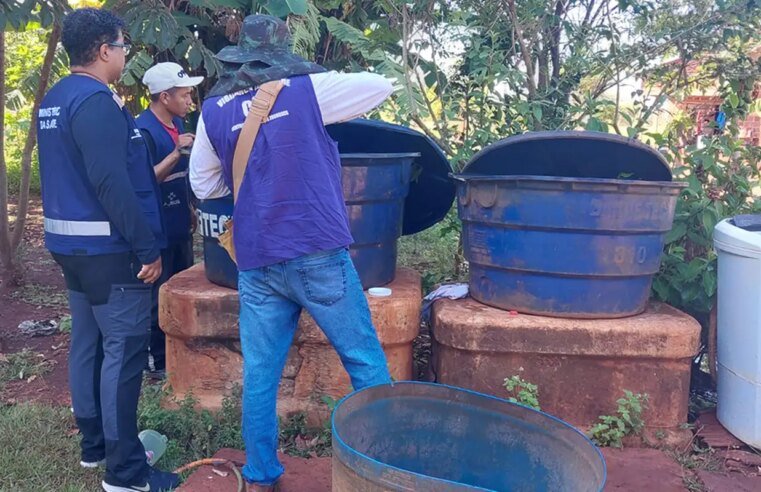 Chikungunya: entenda doença que preocupa Mato Grosso do Sul