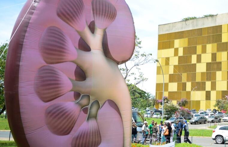 Dia Mundial do Rim: doenças renais são silenciosas e exigem atenção