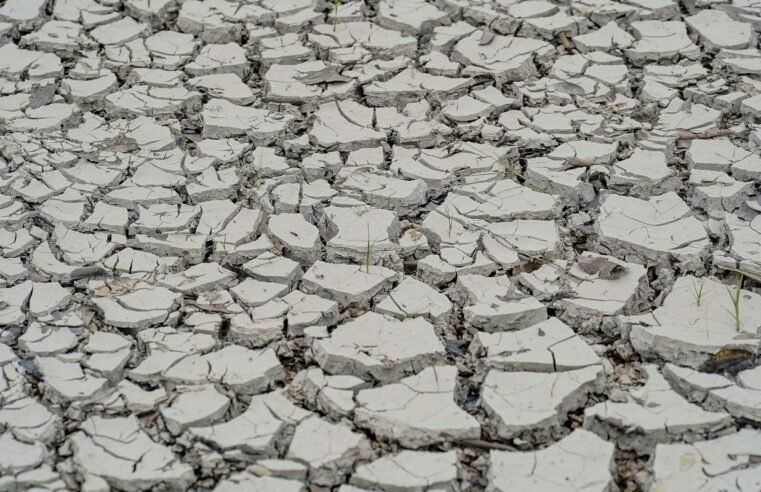 Estiagem: quinze cidades têm situação de emergência decretada