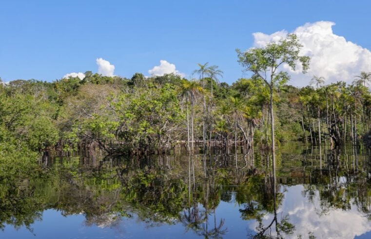 Governo levantou R$ 179 bi desde 2023 para transição ecológica