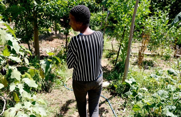 Horta comunitária reúne memória, cuidado e cidadania em favela do Rio