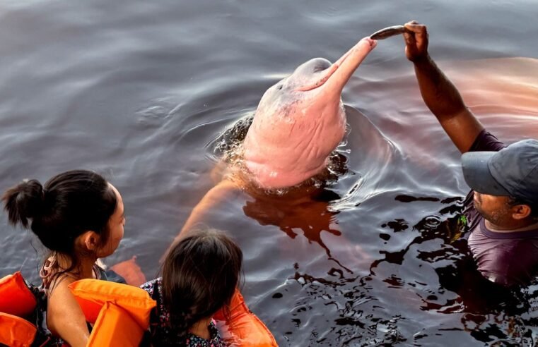 Insegurança é barreira para 62% das mulheres viajarem sozinhas