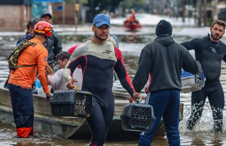 Lei cria Política de Acolhimento para animais resgatados em desastres