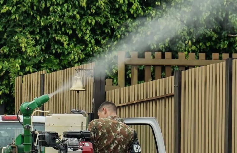 Mato Grosso do Sul vai receber vacina em projeto contra Chikungunya