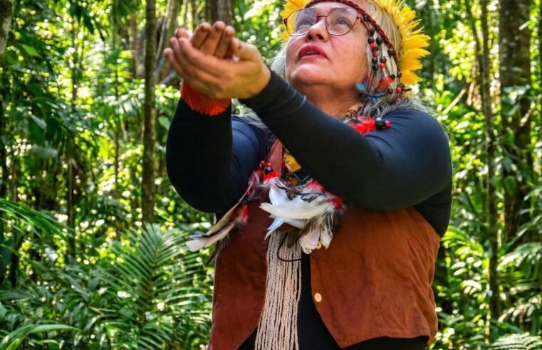 Museu Histórico da Cidade celebra saberes indígenas no Rio de Janeiro 