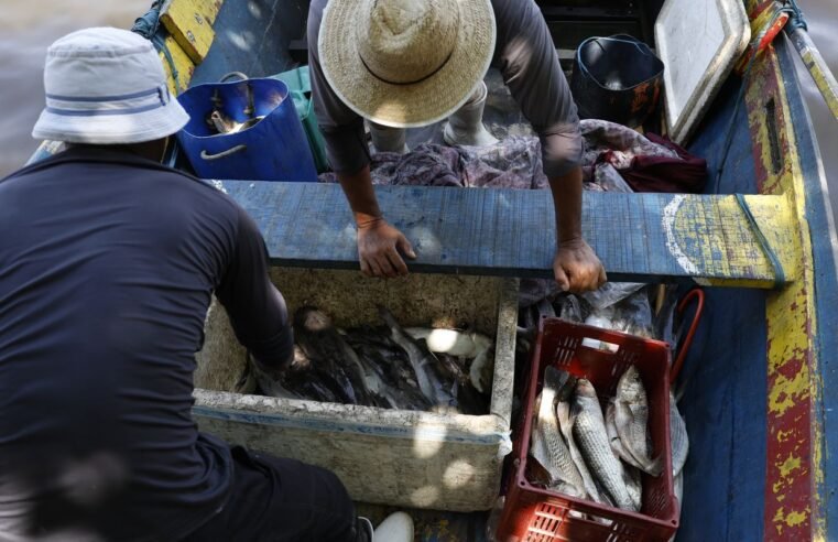 Pescadores beneficiados pelo Seguro-Defeso recebem 6º lote nesta terça