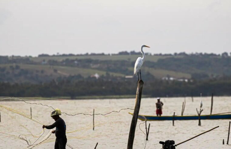Sexto lote do seguro-defeso será disponibilizado na terça-feira