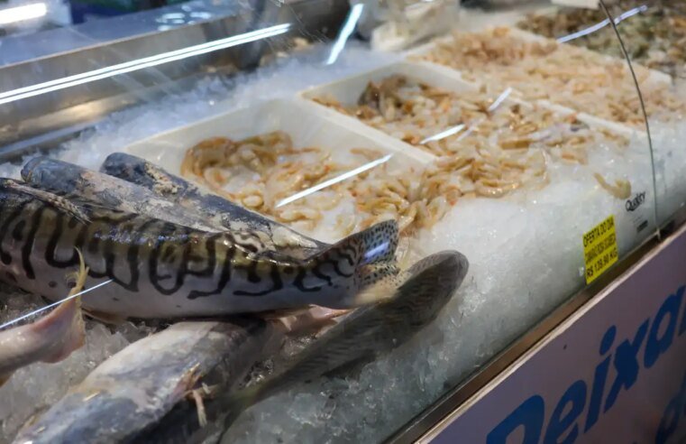Vigilância Sanitária orienta sobre compra de pescado na Semana Santa