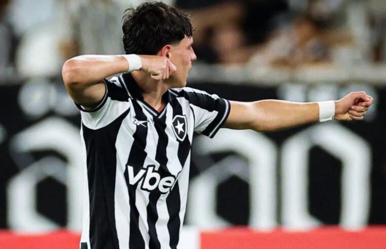 Botafogo domina em casa, vence com autoridade e assume liderança do grupo