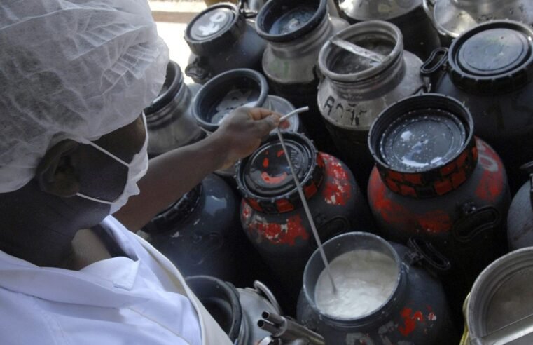 CMN libera linha de capital de giro a cooperativas de leite no Pronaf
