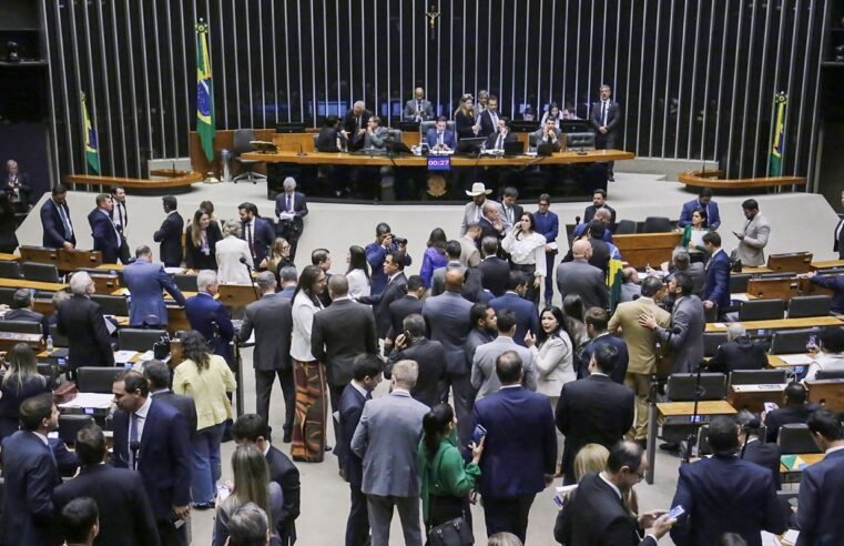 Câmara aprova Medida Provisória com novas regras para seguro-defeso
