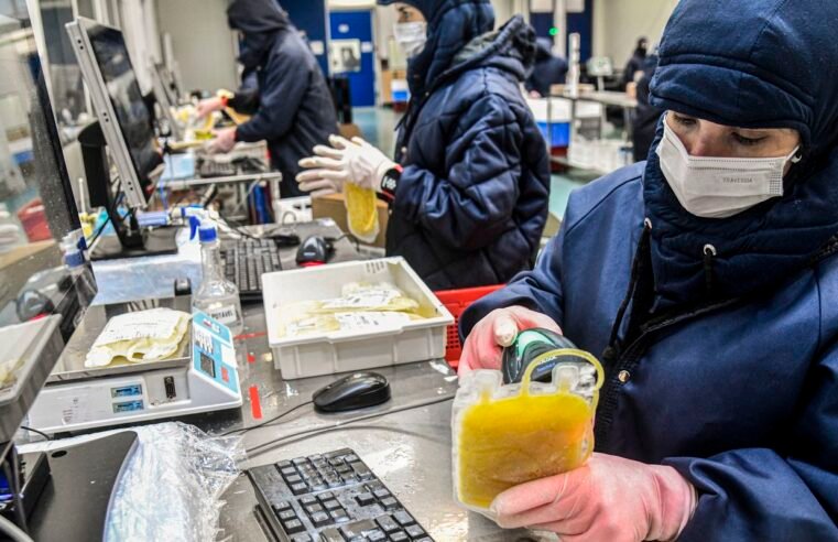 Dia Mundial da Hemofilia: campanha reforça importância do diagnóstico