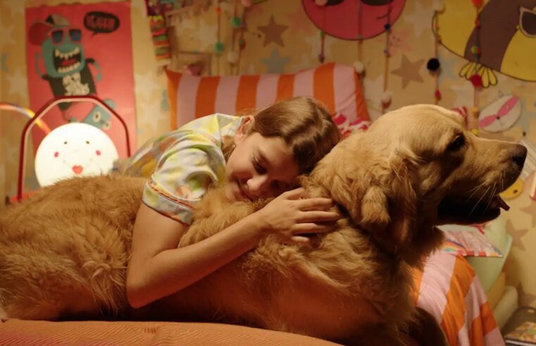 Festival de cinema BIFF 2026 divulga programação e selecionados