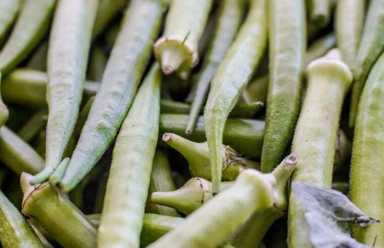 Garantia-Safra: veja lista dos que receberão pagamento em abril