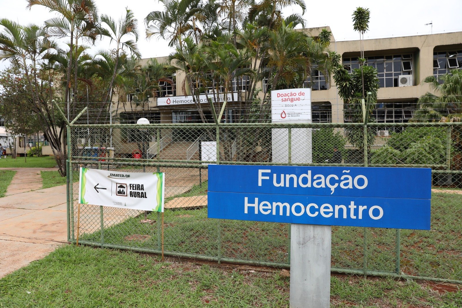 Hemocentro de Brasília alerta para estoques críticos de sangue