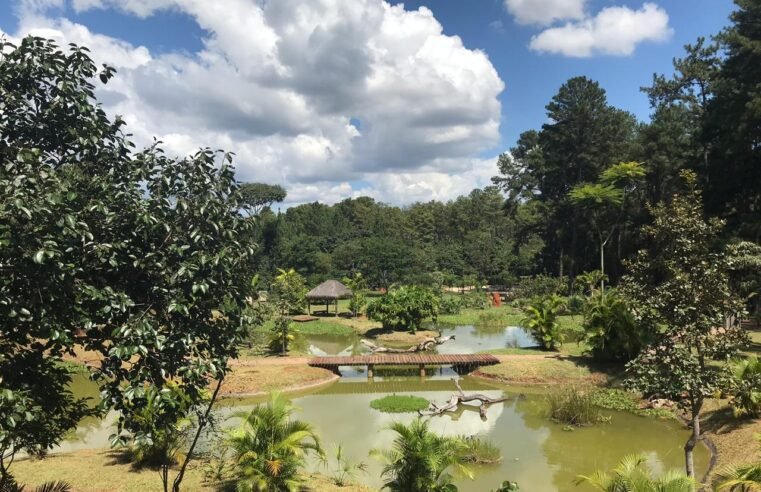 Jardim Botânico de Brasília inicia curso de motosserra para brigadistas
