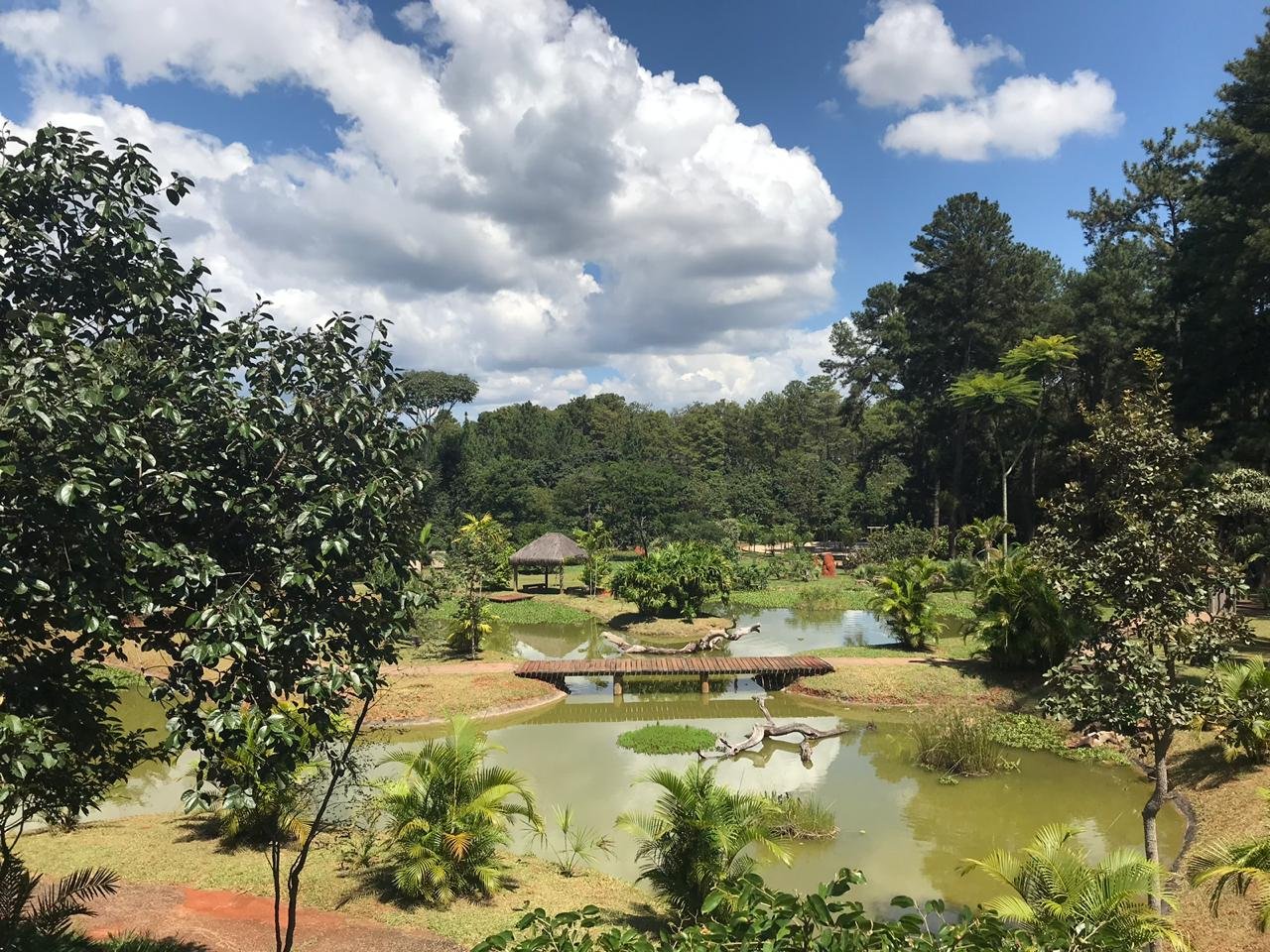 Jardim Botânico de Brasília inicia curso de motosserra para brigadistas