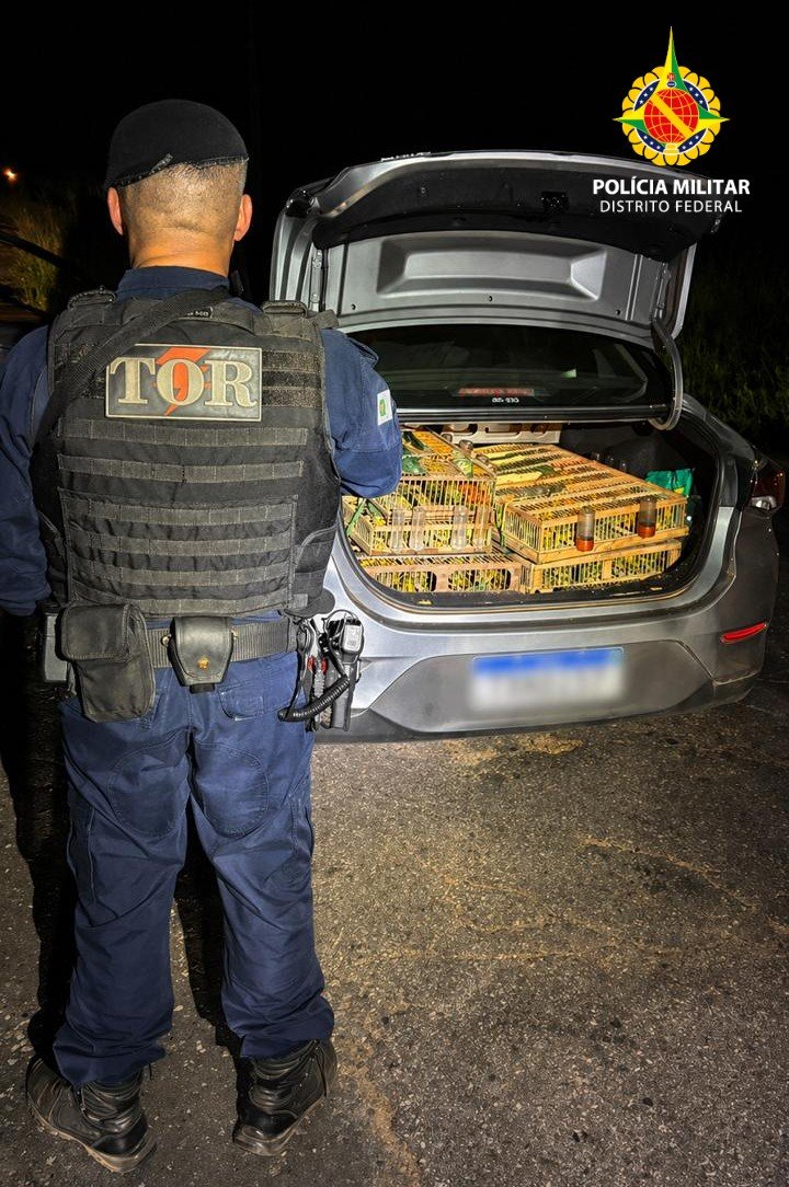 Mais de 300 aves são resgatadas de transporte irregular em Planaltina