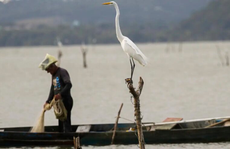 Mudanças aprovadas para o seguro-defeso previnem fraudes, diz relator