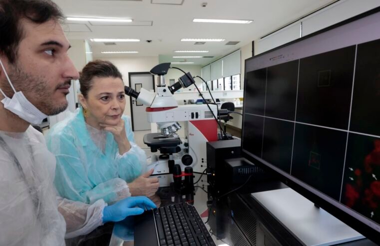 Unifesp prepara atividades de centro de diagnóstico molecular
