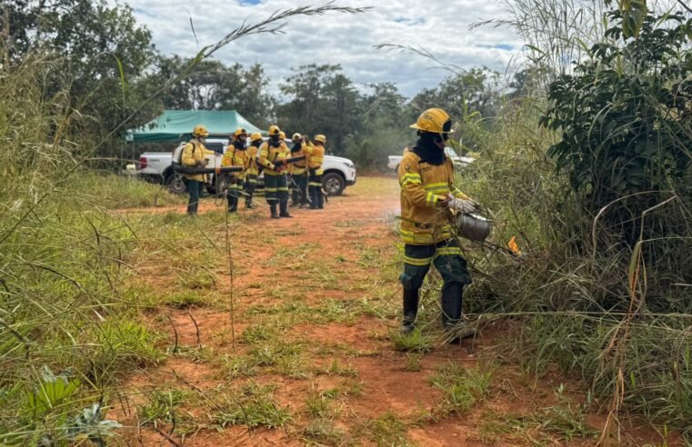 Brasília Ambiental inicia queimas prescritas para prevenir incêndios no DF