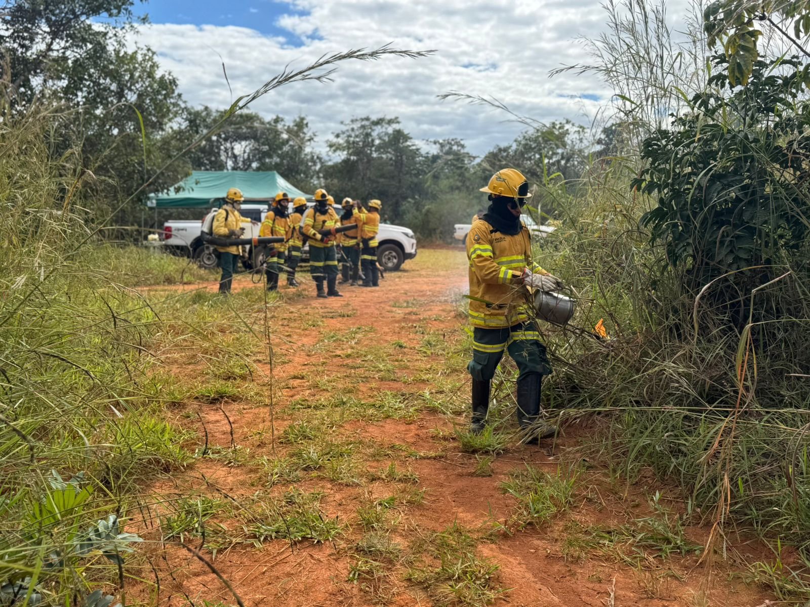 Brasília Ambiental inicia queimas prescritas para prevenir incêndios no DF