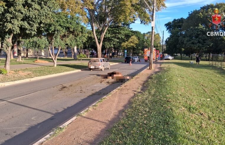 Cavalo morre após ser atingido por veículo em Planaltina